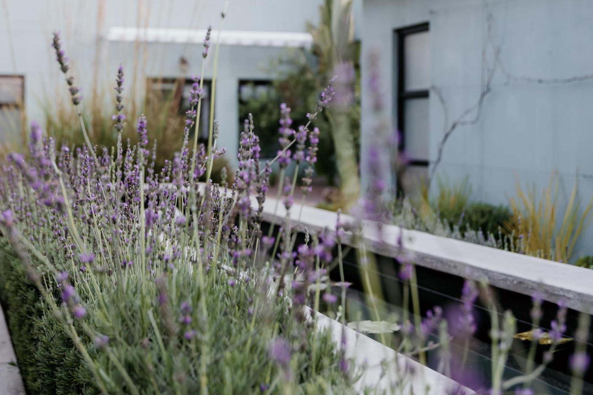 Fancy Fritz B&B Swakopmund Exteriér fotografie